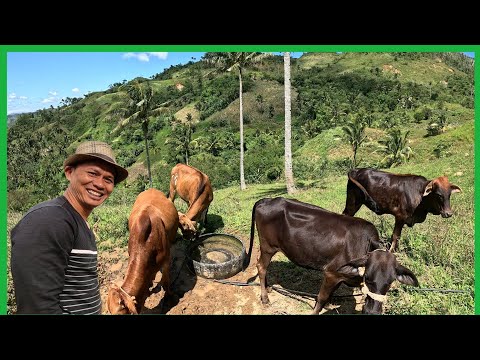 MGA ALAGA NAMIN SA ITAAS NG BUNDOK MAY GOOD NEWS DIN SA KANILA(TARA PUNTAHAN NATIN)
