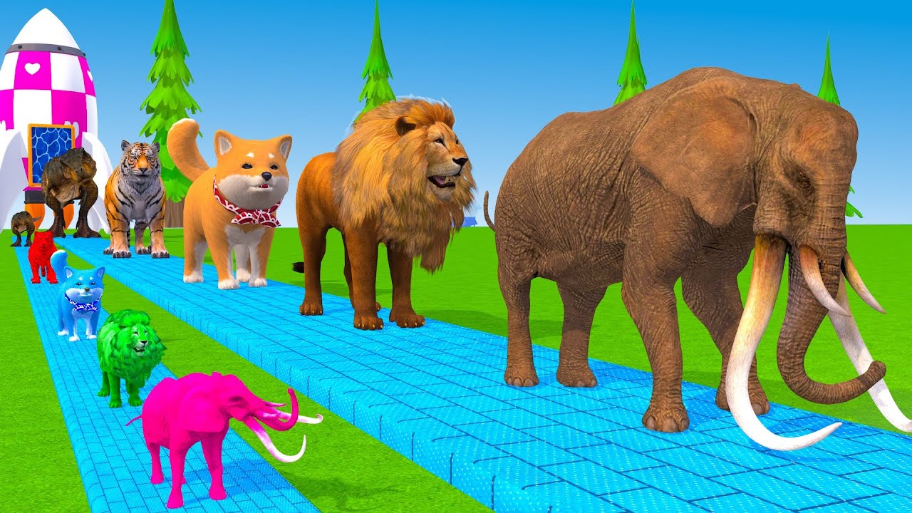 Long Slide Game With Cow Elephant Gorilla Hippopotamus Tiger 3d Animal Game Funny 3d Animals