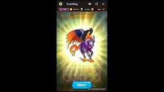 EverWing - Fea Evolutions !!