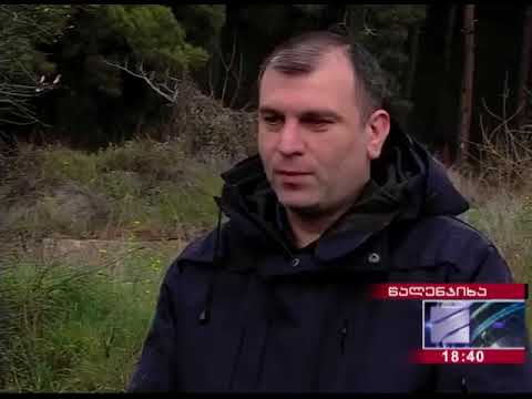 ბენზინმზიდში პირველადი გადამუშავების პროდუქტი   ფიცარი აღმოაჩინეს