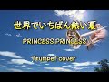 世界でいちばん熱い夏 ~ PRINCESS PRINCESS ~ Trumpet cover