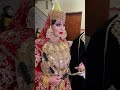 اعراس الغرب الجزائري تصديرة العروس الجزائرية لباس تقليدي جزائري 