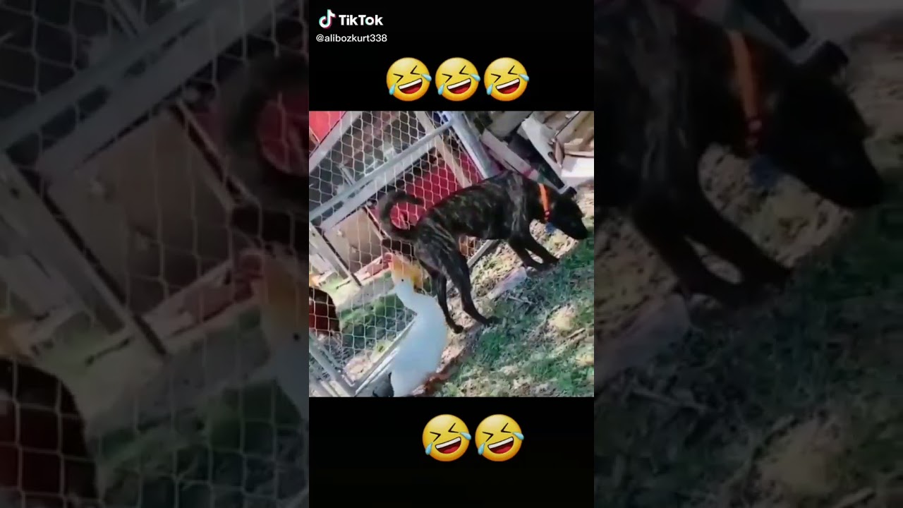 Kk YouTube kk-youtube