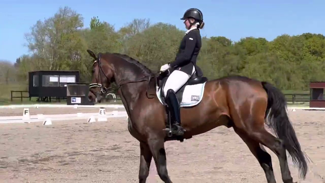 MB0 Ida Marie Veilis og Falkær’s El Magic 67,180%