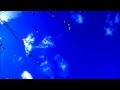 晴れ 秋日和