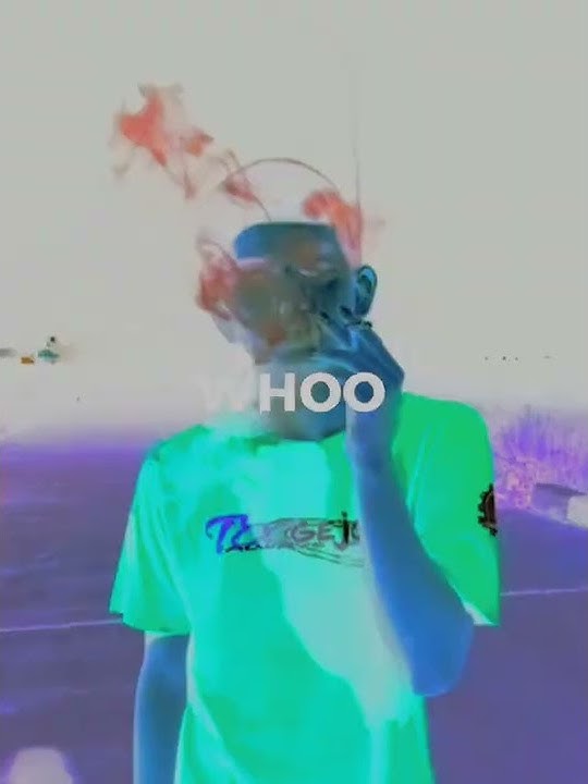 Story wa panda designer
