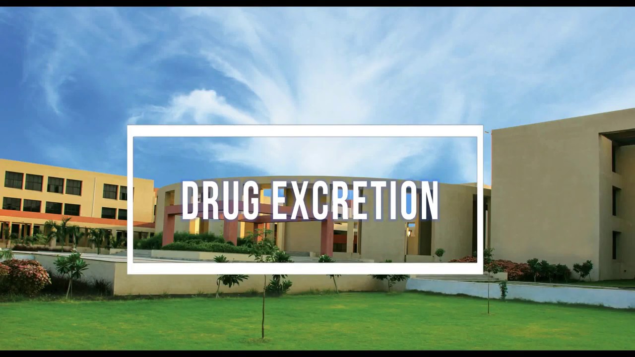 Drug Excretion - Introduction, Factors affecting Excretion of Drug, Drug Clearance