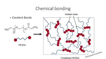 💧🧬 IGNITE Project | (Natural Materials & Biomaterials) Module 3 – Hydrogels and Their Bonds