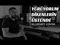 Yürüyorum Dikenlerin Üstünde Klarnet Cover By Bilge Kaan Selda Bağcan Barabar Toygar Işıklı