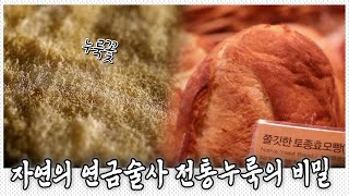 한국에만 막걸리가 있는 이유? 전통누룩의 비밀과 토종효모의 새로운 빵맛｜KBS 20190913
