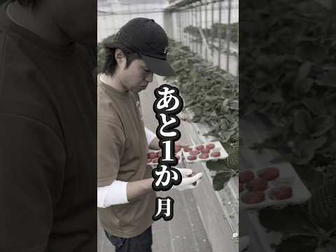 直売パック販売終了まで…