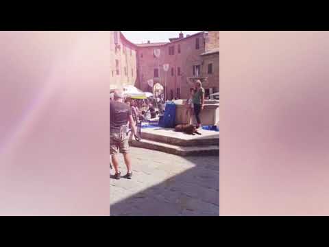 Video: Panicale: Umbrian Hilltown nchini Italia