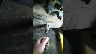 257B Cat Skid Steer Starting To Get Clapped Out