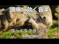 【頭痛に効く音楽】ゆっくりクラシックが、疲れた脳を癒し頭痛を治します