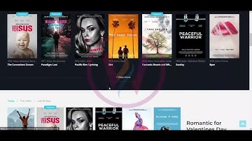 WordPress Theme Vodi Demo Video