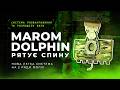 Порівняння систем Marom Dolphin | Нова система на 2 ряди моллі | Тест та огляд