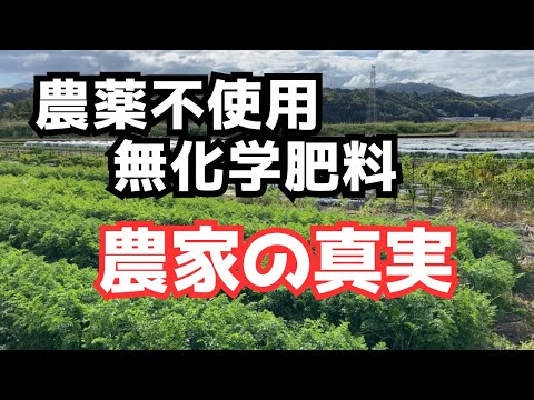 No pesticides, no chemical fertilizers, multi-crop