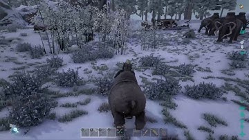 Ark primitive + official server - part 1!