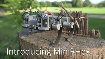 Introducing MiniRHex