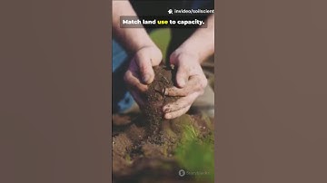 Soil Infiltration Variability Across Diverse Soil Reference Groups and Land-Use Types #soil #farm