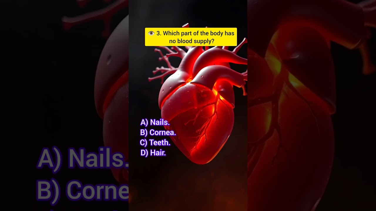 Human Body Quiz | Anatomy Trivia questions 
