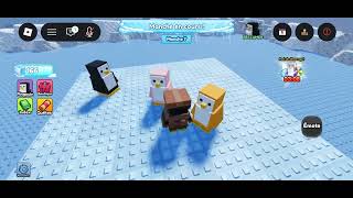 Playing Knockout For The First Time
