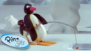 Pingu And His Dad Go Fishing! @Pingu Cartoons for Kids