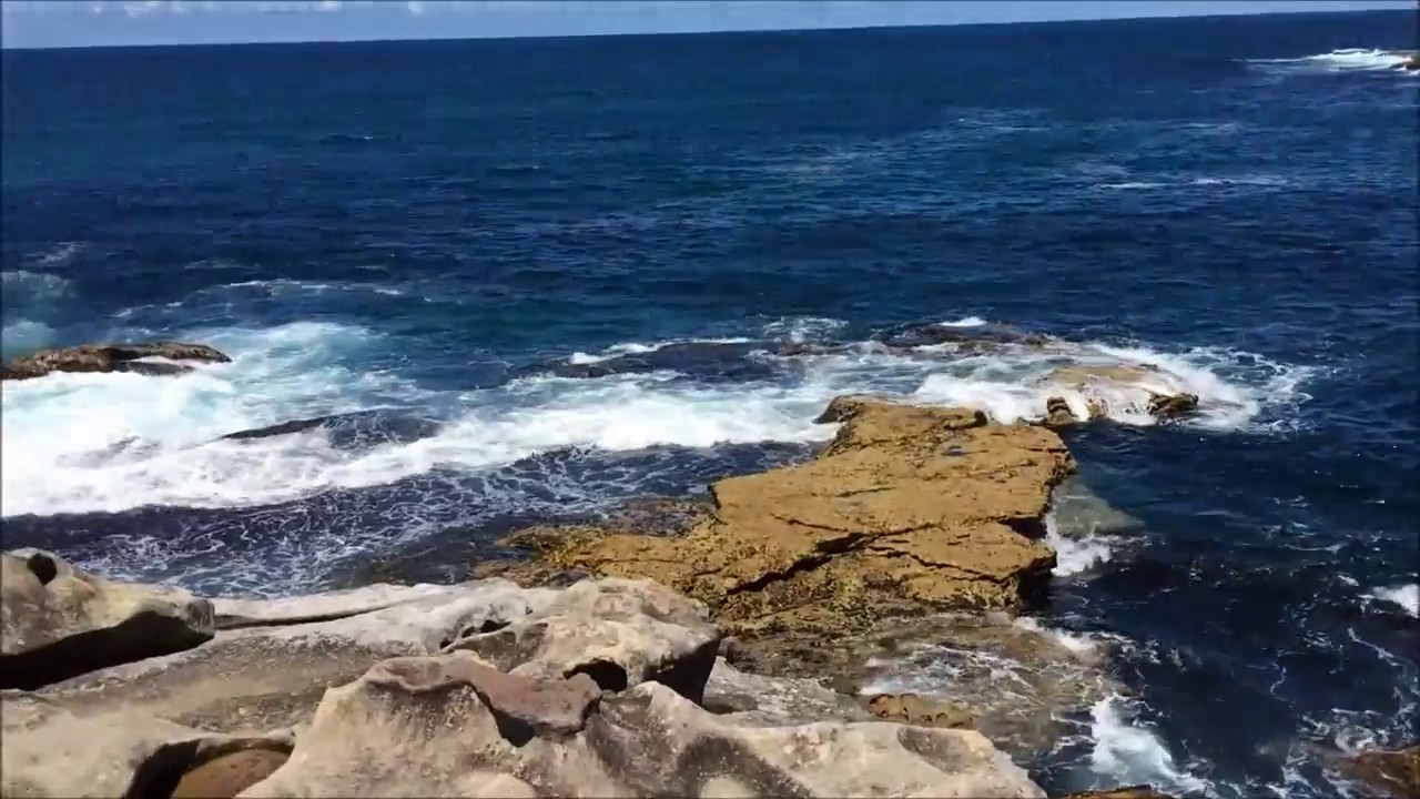 Lets Go Sydney (Bondi Beach) | Esthercwy