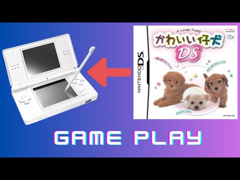 かわいい仔犬DS - YouTube