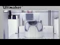 Ultimaker 3 Gyro Timelapse Dual Extrusion With Water Soluble PVA Support 