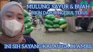 Download Lagu INI SIH SAYANG KALAU GA DI AMBIL 😱😭🧐🧐 MP3