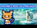 Video Educativo - Mamíferos del Mundo - Gatom