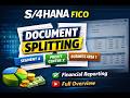 SAP S/4HANA FICO Document Splitting