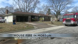 Two dogs killed in Morton house fire Monday