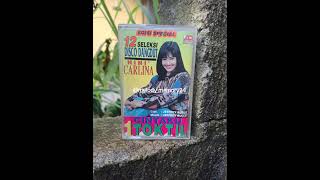 NINI CARLINA - CINTAKU 1 TOKTIL