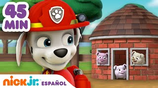 45 minutos en que la Patrulla Canina protege hábitats animales. | Nick Jr. en Español