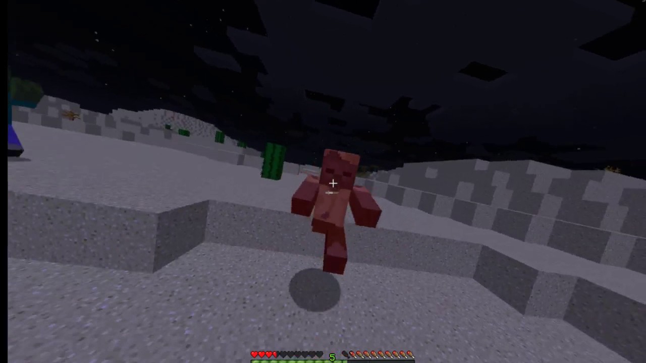 My Very Own Smp 1.11.2 Server Come Join!