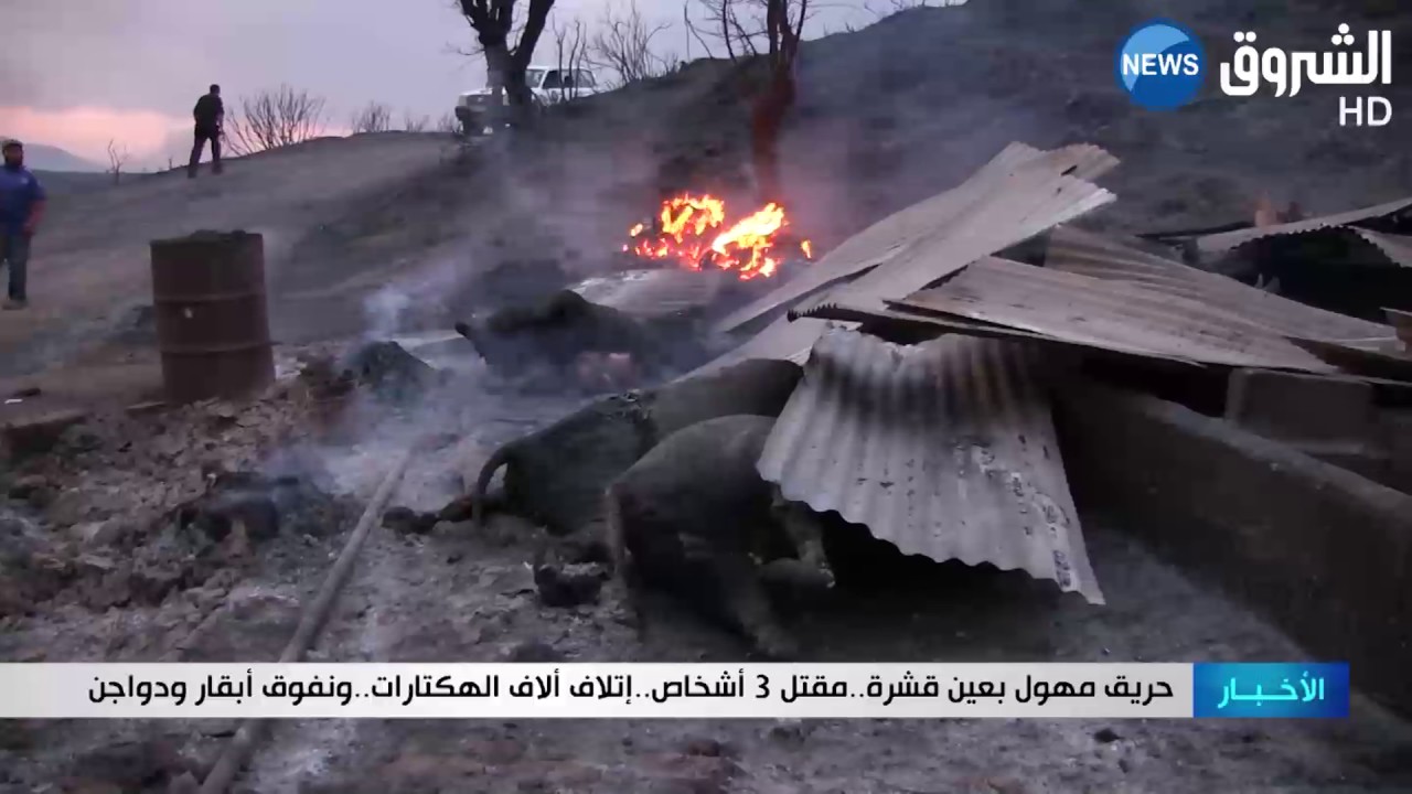 حريق مهول بعين قشرة..مقتل 3 أشخاص..إتلاف ألاف الهكتارات..ونفوق أبقار ودواجن