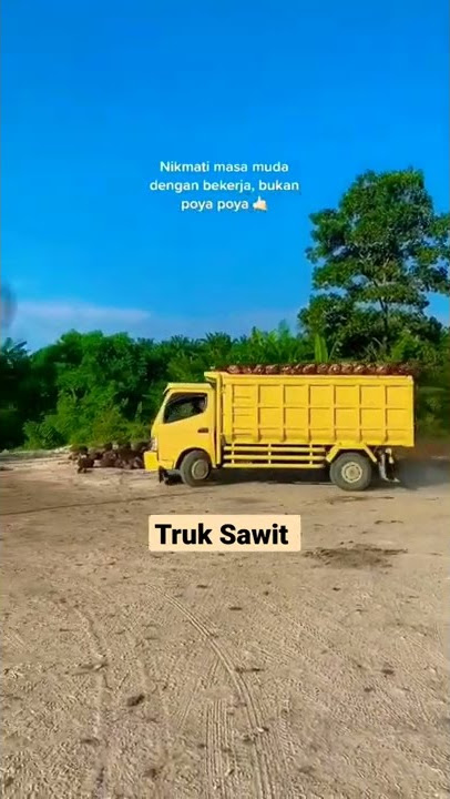 Story WA Truk 30 detik||Story WA Truk sawit‼️#shorts #truck #storywa #storywatruk #truksawit
