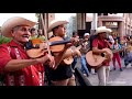 Tríos Tordo Huasteco y Eco Potosino desde el Centro de San Luis Potosí