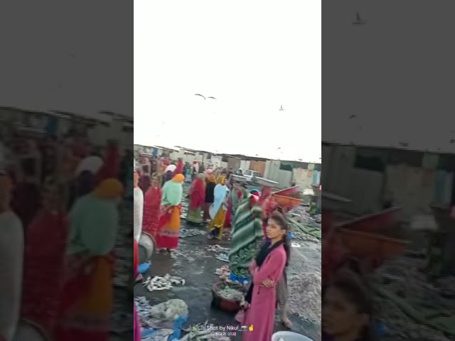 Mashi market😱😱😱|| etani Shari mashaliya😱😱😱||#shortavideo #vairal #shorts #trending class=