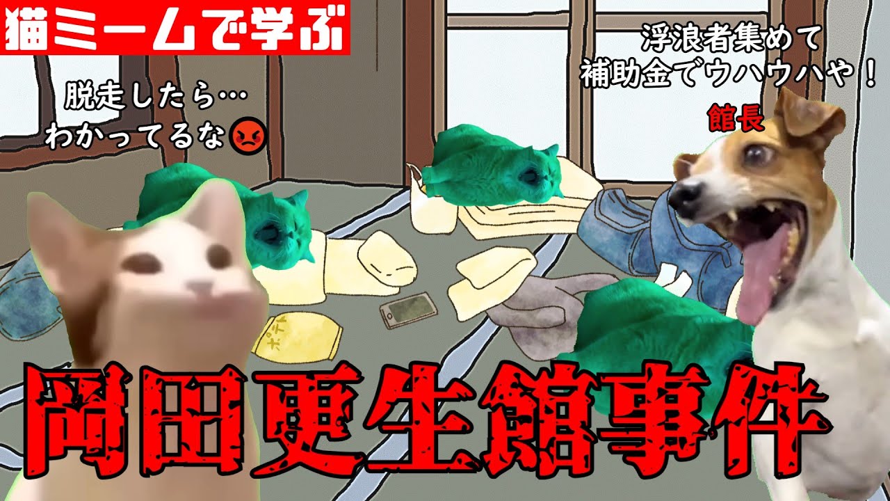 猫ミームで学ぶ岡田更生館事件 猫マニ 猫ミーム YouTube