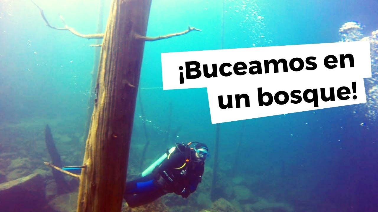 ¡BUCEO EN UN BOSQUE SUMERGIDO! 🌳 Lago Traful 🇦🇷 Patagonia argentina
