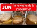 Cmo hacer jun la hermana de kombucha