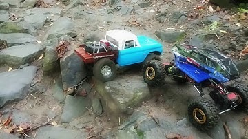 Vaterra Ascender | Axial SCX II | RedCat Rockslide RS10 XT | Losi NightCrawler