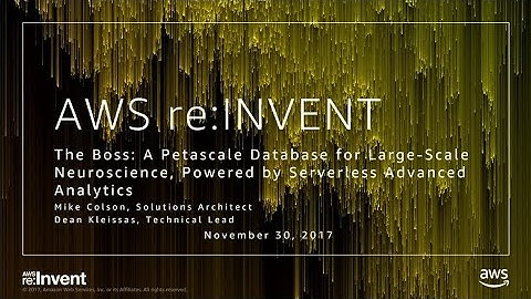 AWS re:Invent 2017: The Boss: A Petascale Database for Large-Scale Neuroscience, Pow (DAT401)