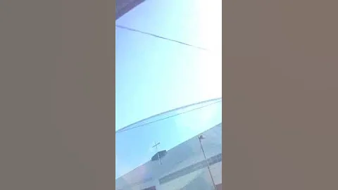 Dog Barks at man on bike
