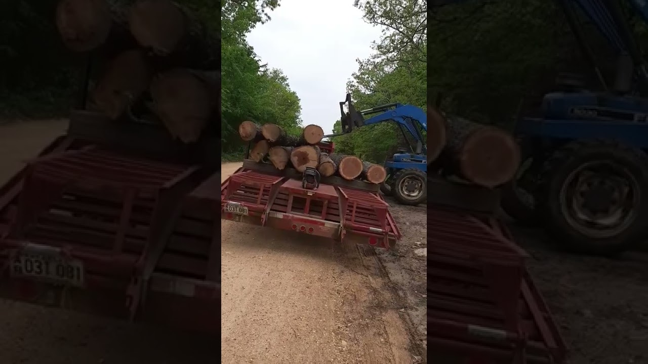 🪵 loading logs, logging 🪵