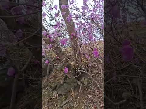 라이브 하이라이트