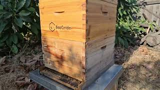 Hive 2 is exploding.  July 12, 2024